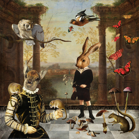 'An Evening In The Woods' Art Greeting Card