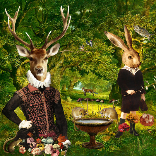 'A Day Out In The Woods' Art Greeting Card